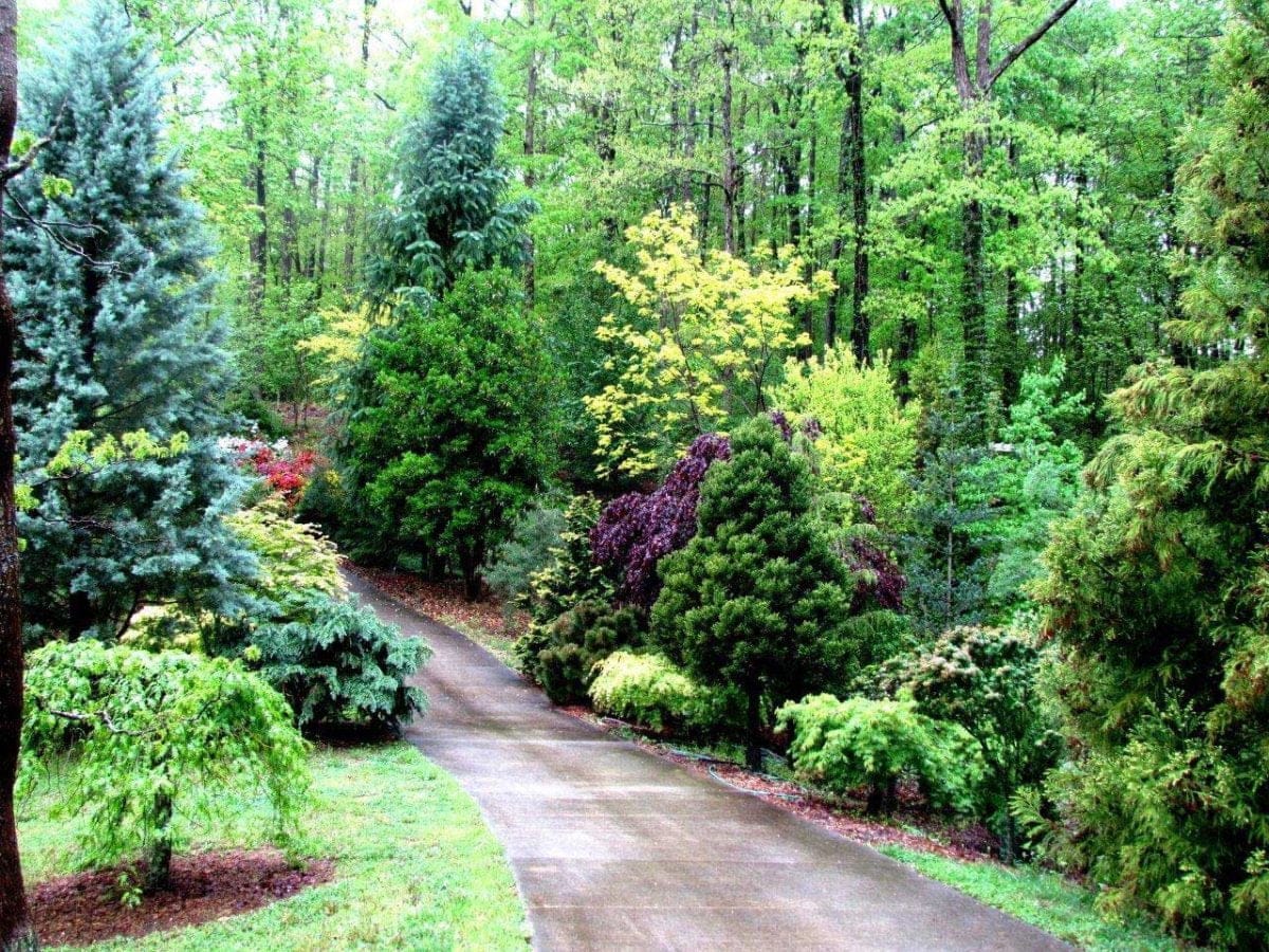 Cox Arboretum Death Investigation New Clues Emerge - qlxmakr
