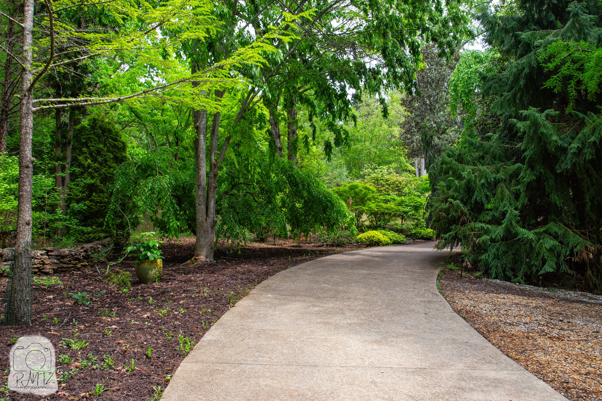 coxarboretom-30